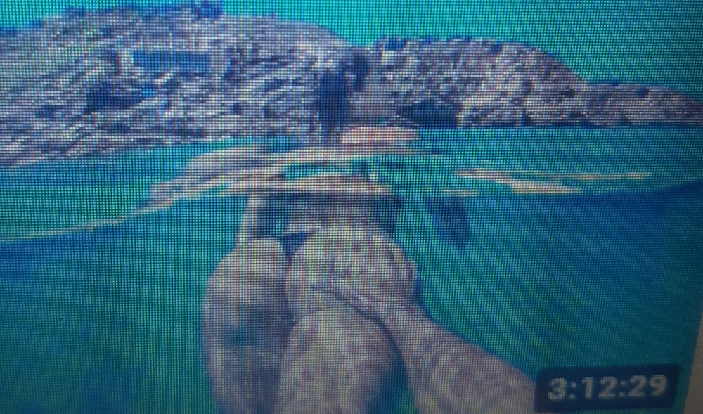 rebeczzz OnlyFans profile picture
