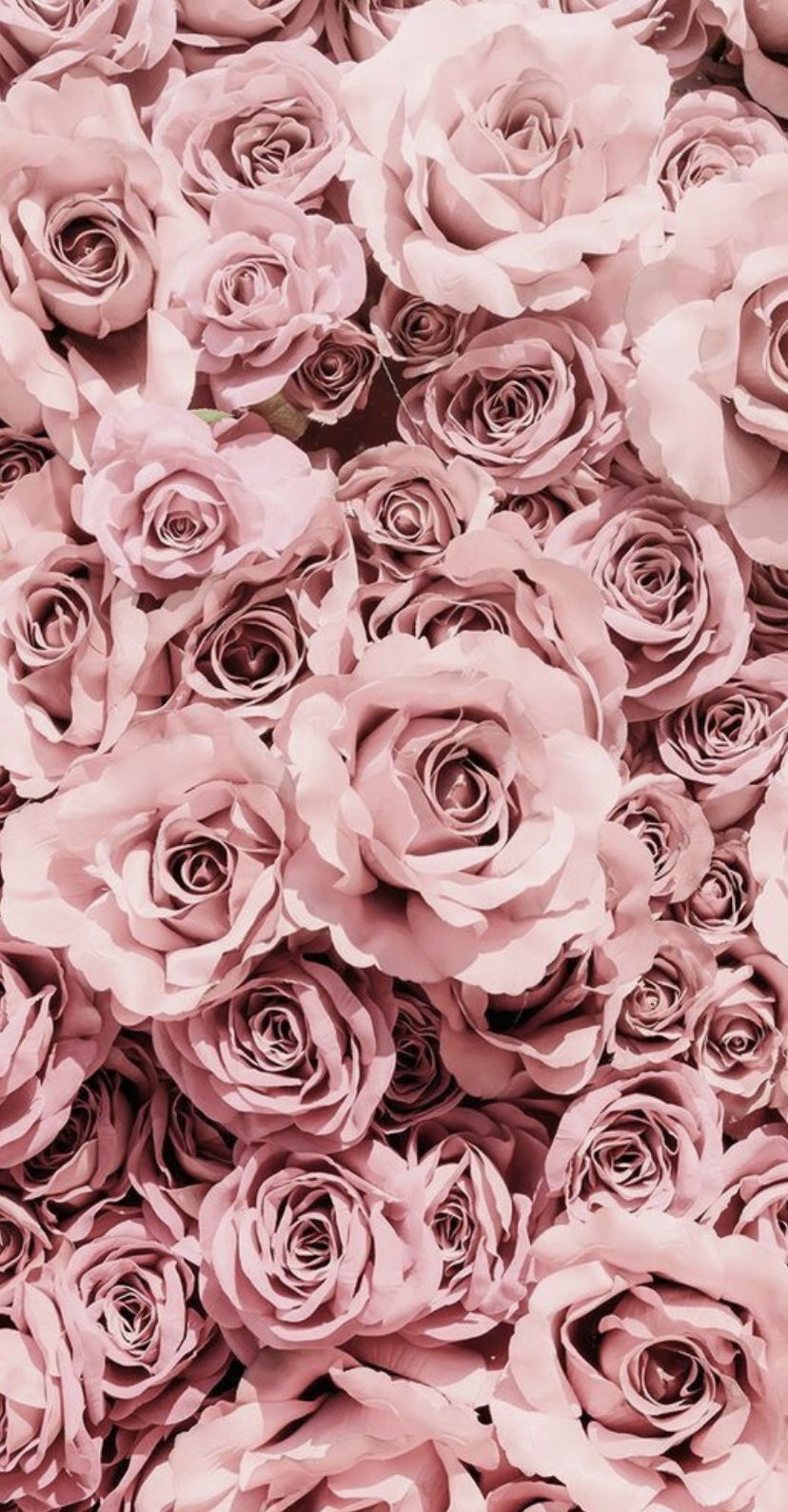 chaneldior2020 OnlyFans profile picture
