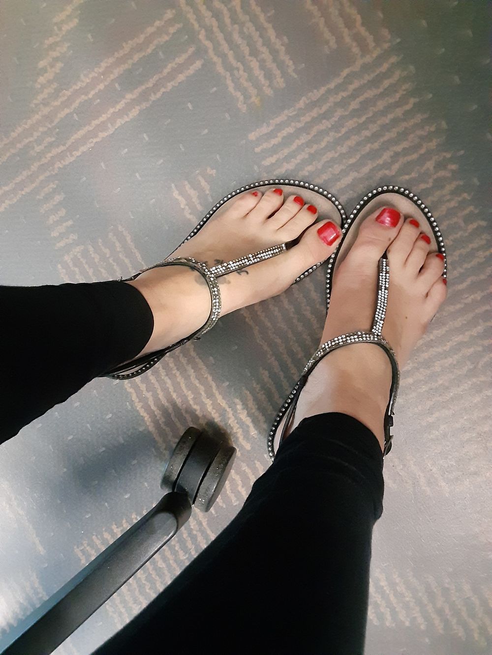 izzylizzie OnlyFans profile picture