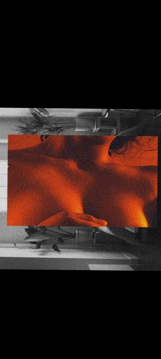 miranda.zamm OnlyFans profile picture