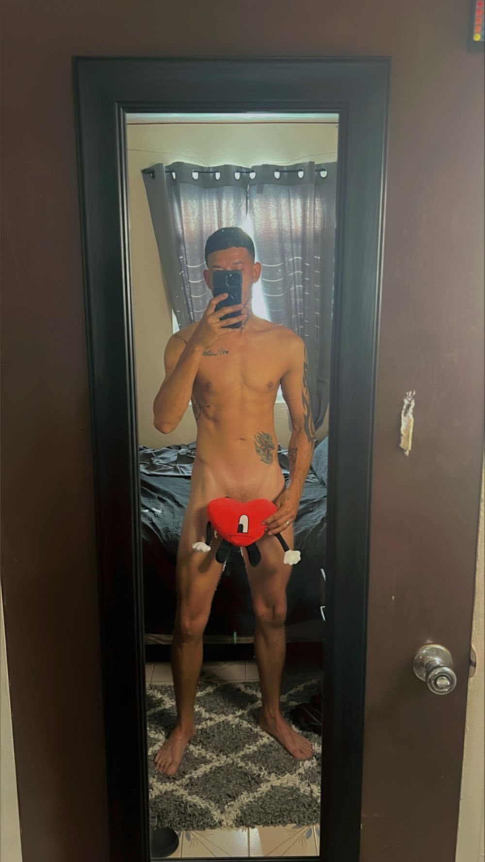 papipolloteampr OnlyFans profile picture