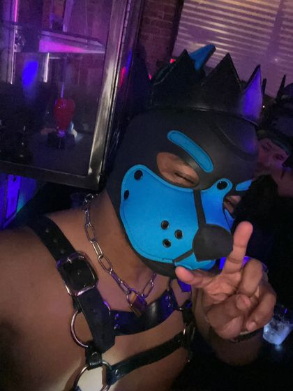 jasertheepup OnlyFans picture
