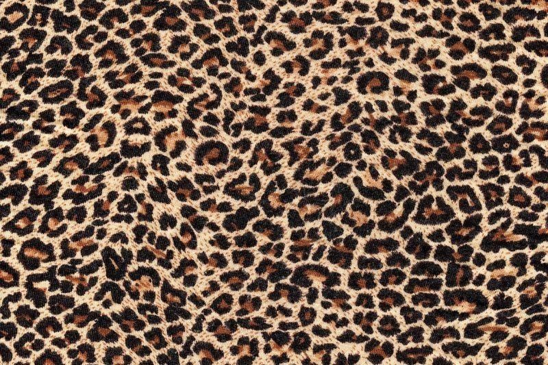 principiedi OnlyFans profile picture
