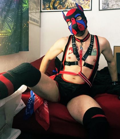 twitchyanimal33 OnlyFans picture