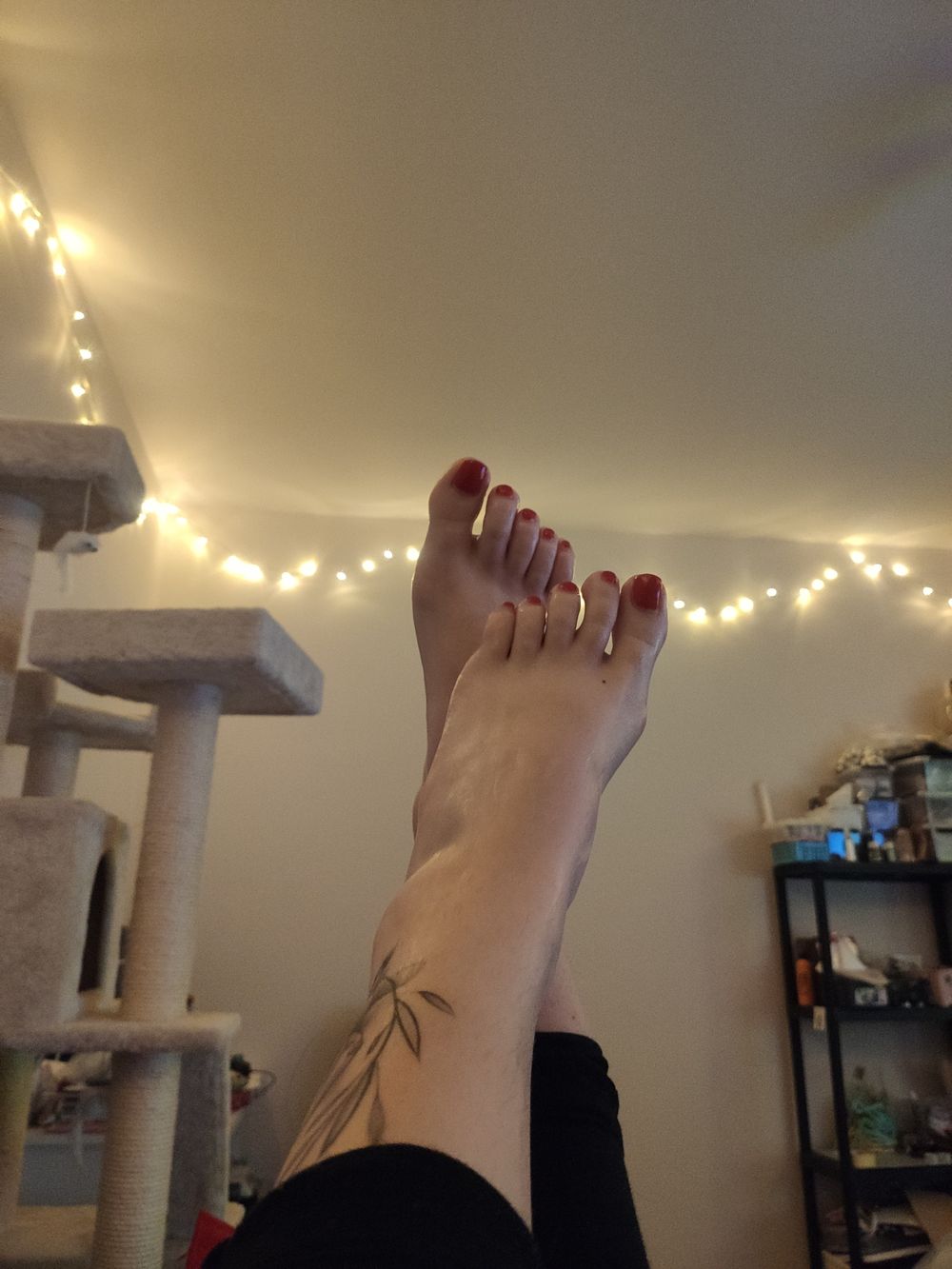 oresa_feet OnlyFans profile picture