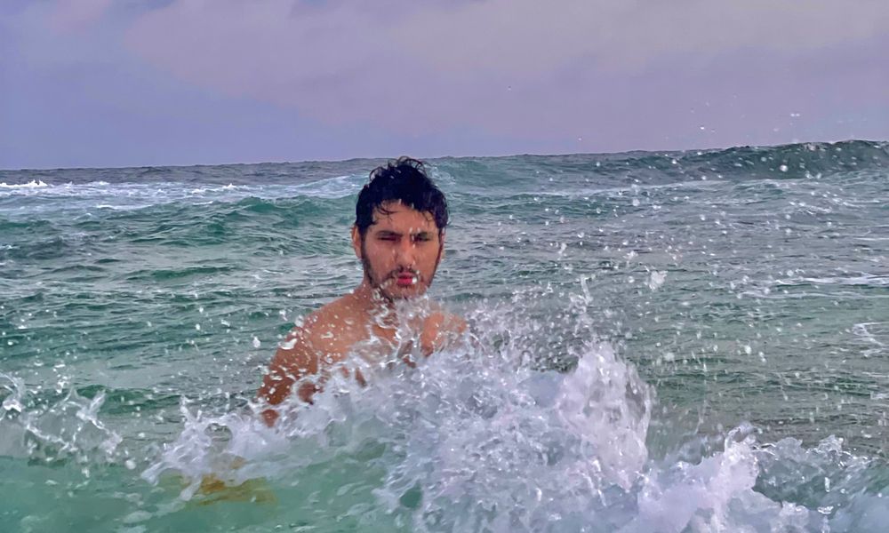 papiveganquezo OnlyFans profile picture