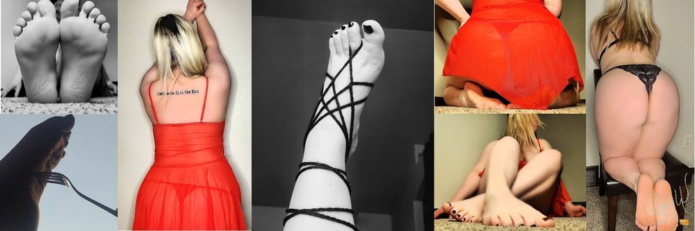 midweststacymay OnlyFans profile picture