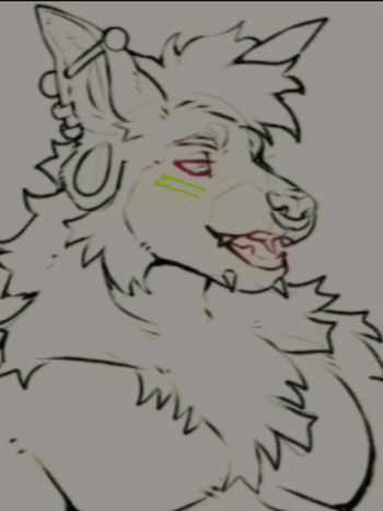 bonggdogg OnlyFans - Free Trial - Photos - Socials | FansMetrics.com