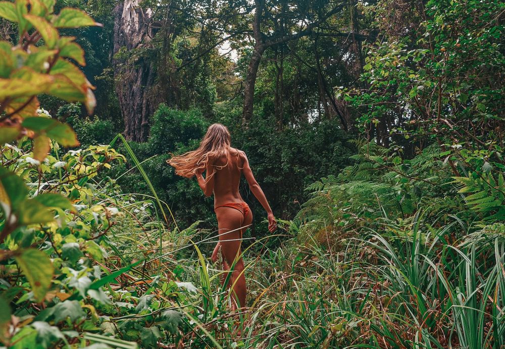 wild_maya OnlyFans profile picture