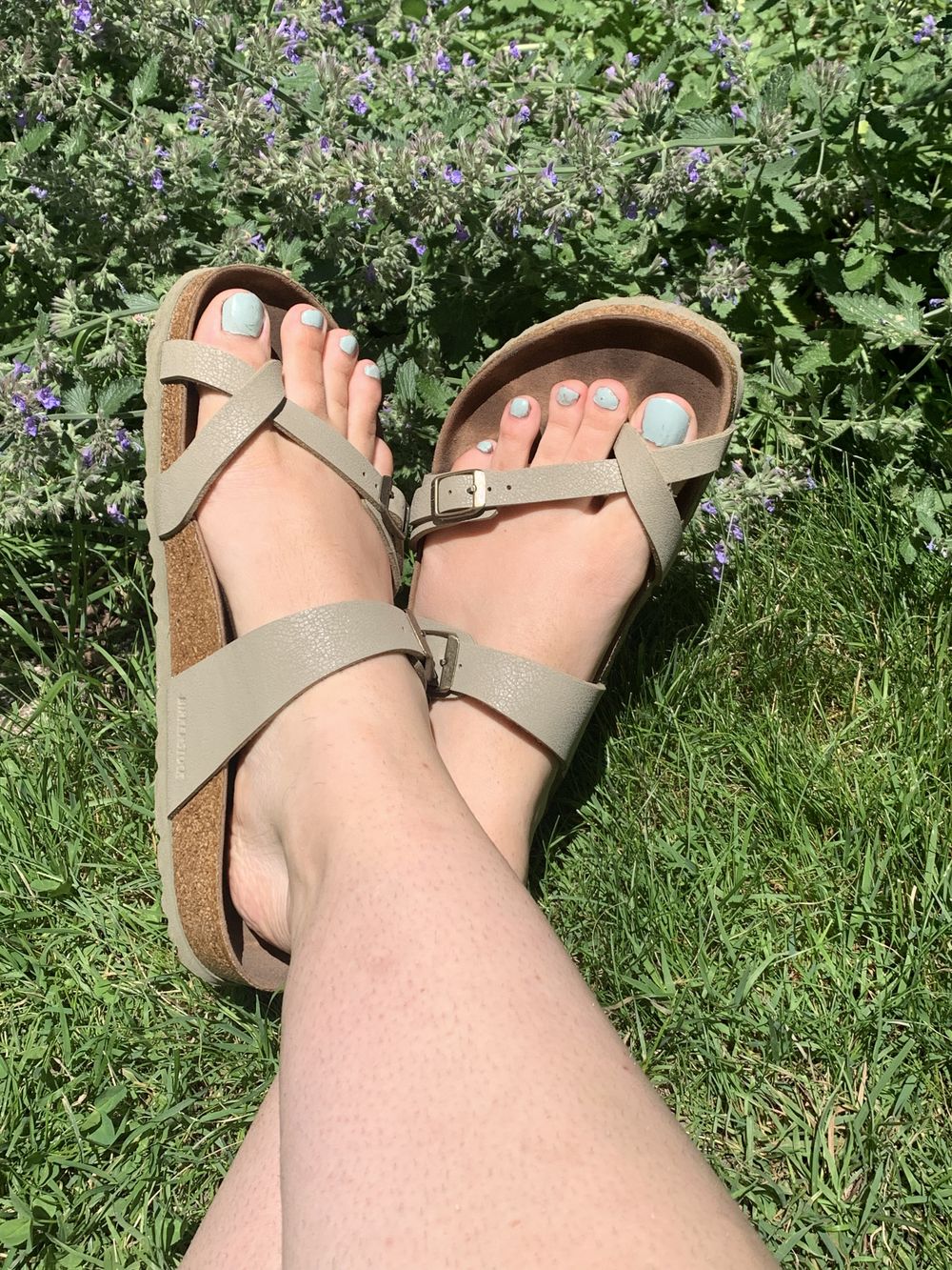 lilypad111 OnlyFans profile picture