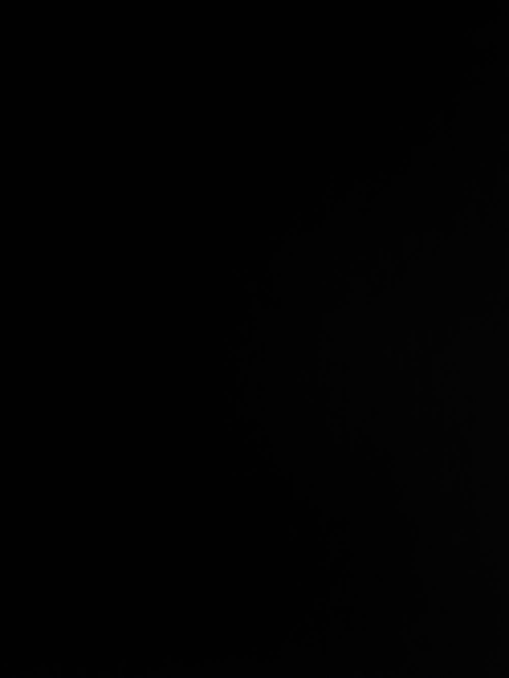 lilyj0904 OnlyFans profile picture