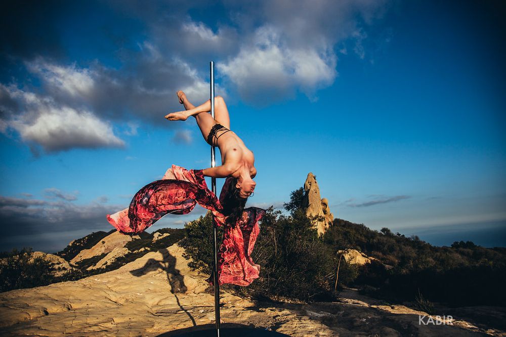 polepriestess OnlyFans profile picture