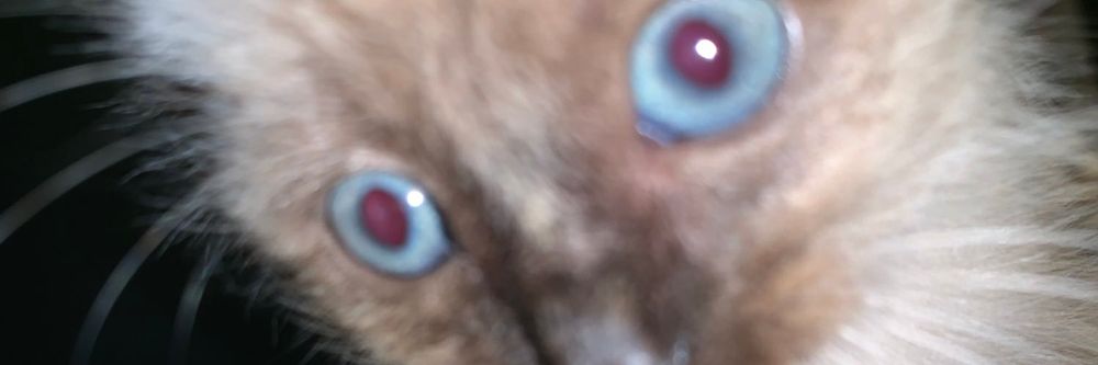 monsieurwendall OnlyFans profile picture