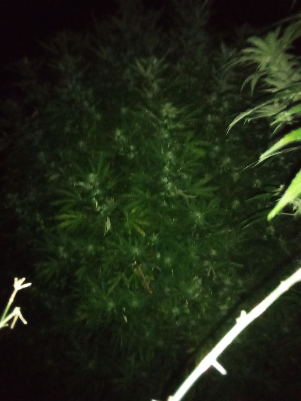 mdbfarming OnlyFans profile picture
