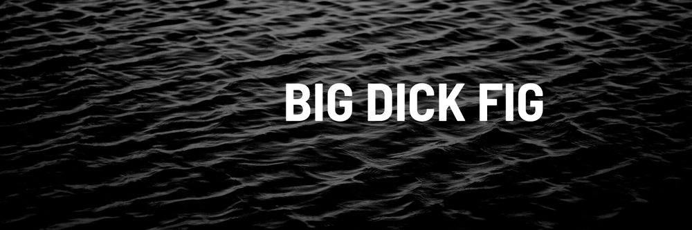 bigdickfig OnlyFans profile picture