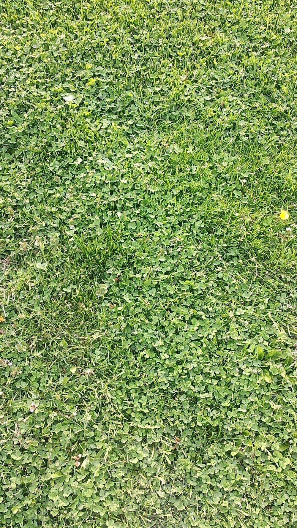 strongdong420 OnlyFans profile picture