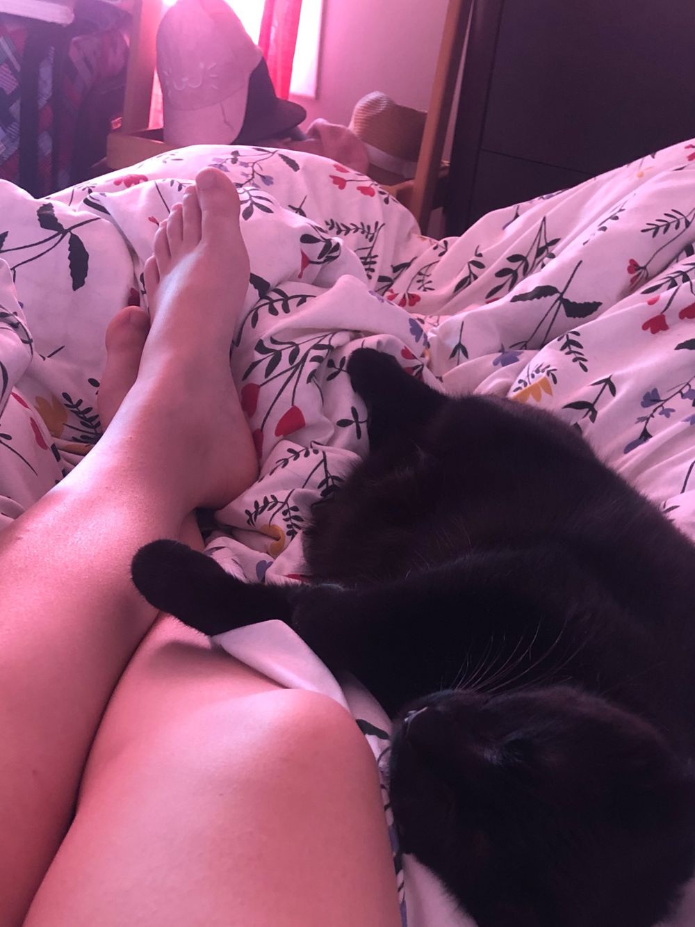 millie_feet OnlyFans profile picture