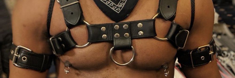 bullintrrptd OnlyFans profile picture