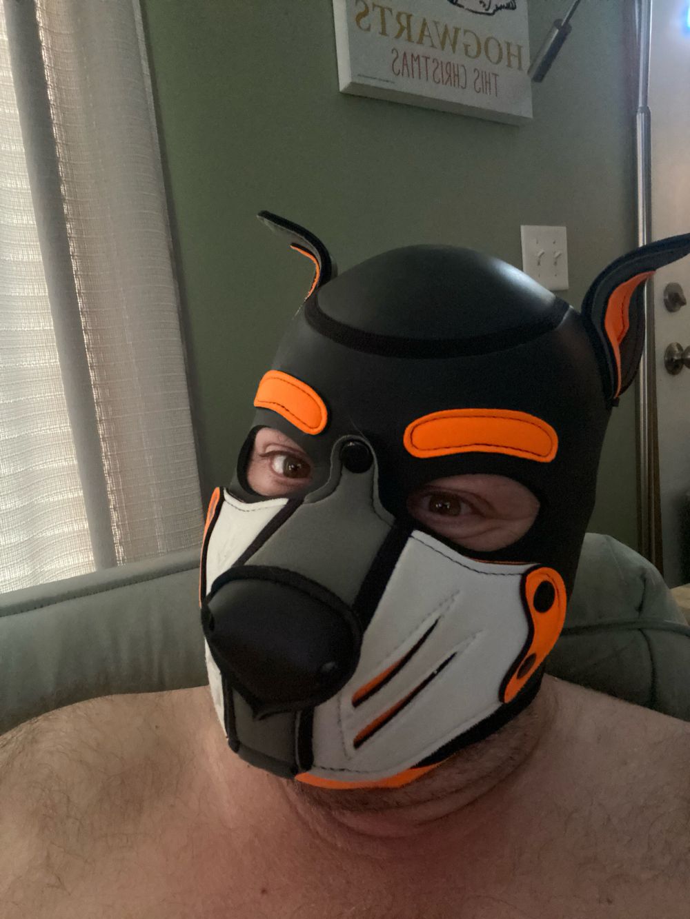pupelio OnlyFans profile picture
