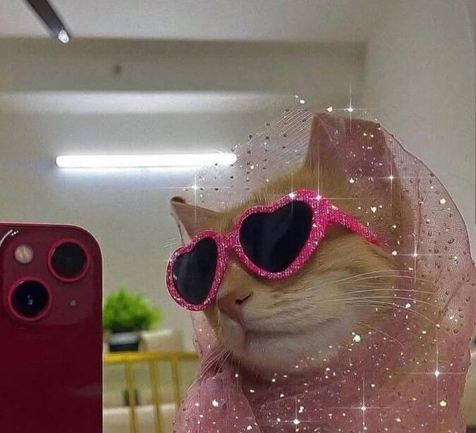 kreampiekitty OnlyFans profile picture