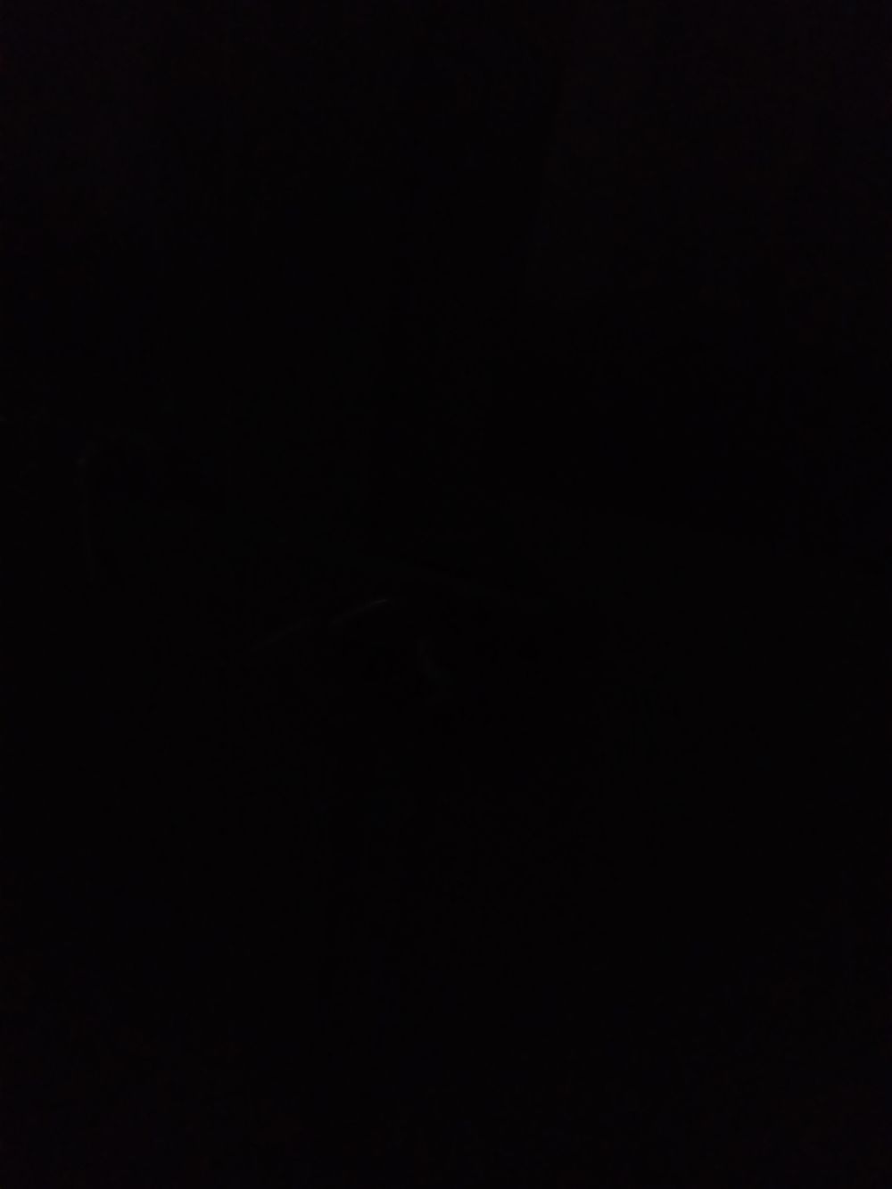 dkkamen1364 OnlyFans profile picture