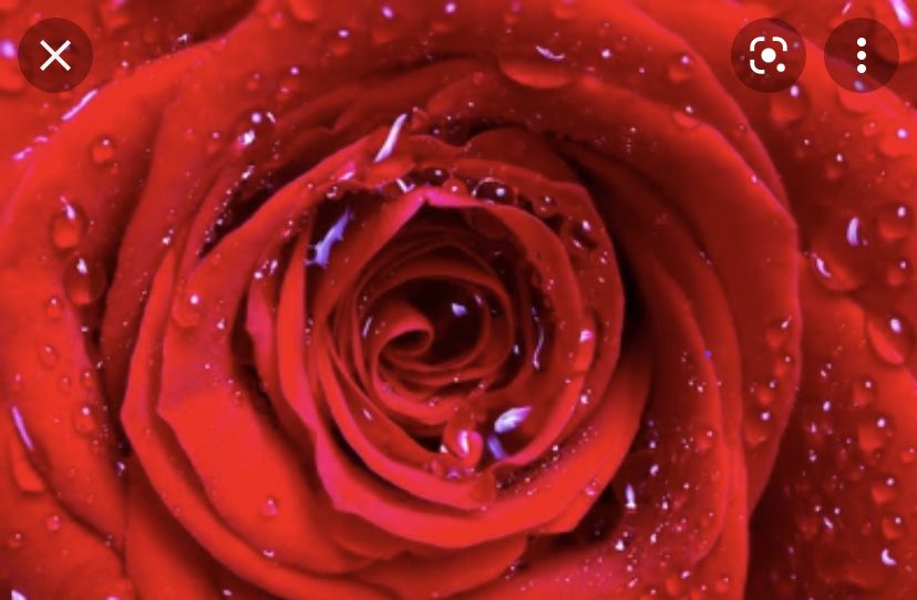 scorpio-queen OnlyFans profile picture