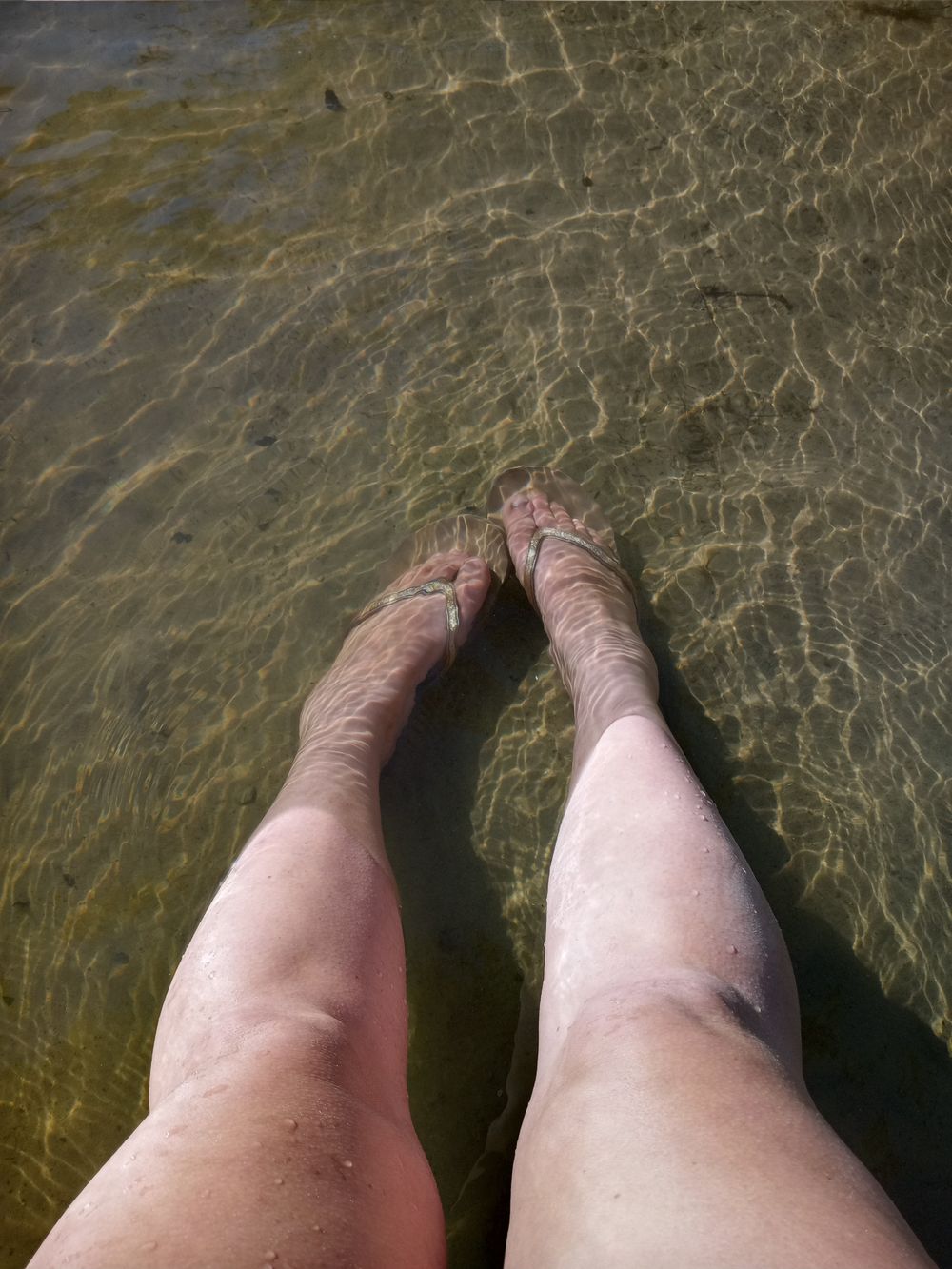 legladyonly OnlyFans profile picture