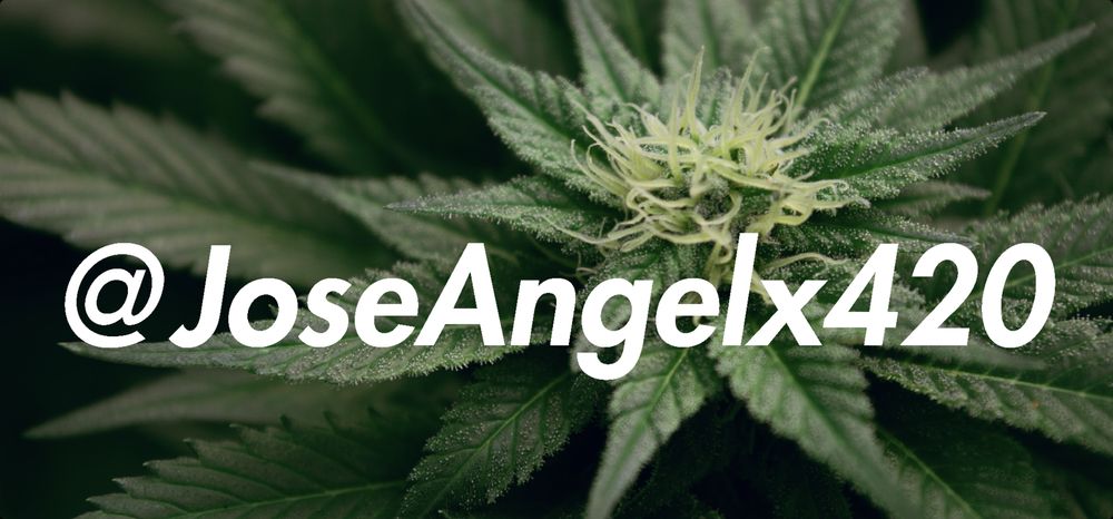 joseangelx420 OnlyFans profile picture