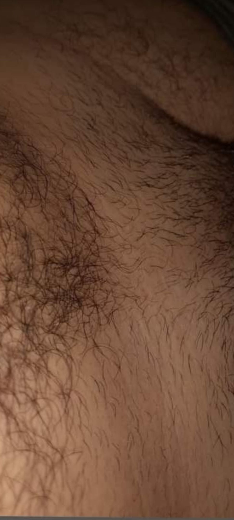 henrybear.gt OnlyFans profile picture