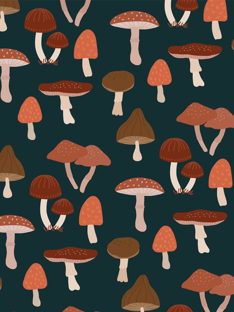 mooshiemushroom OnlyFans profile picture