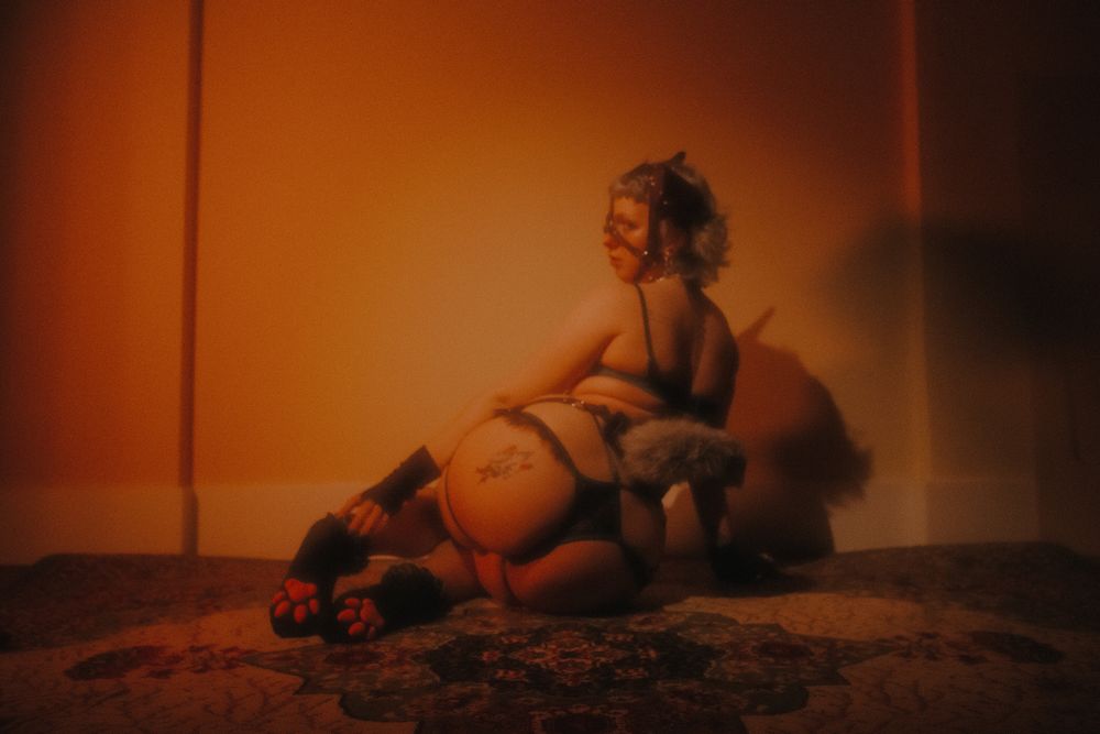 fayeguts OnlyFans profile picture