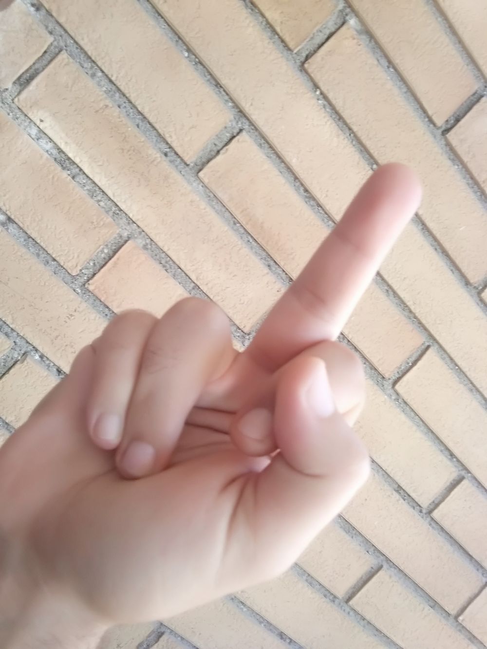daremebitch OnlyFans profile picture