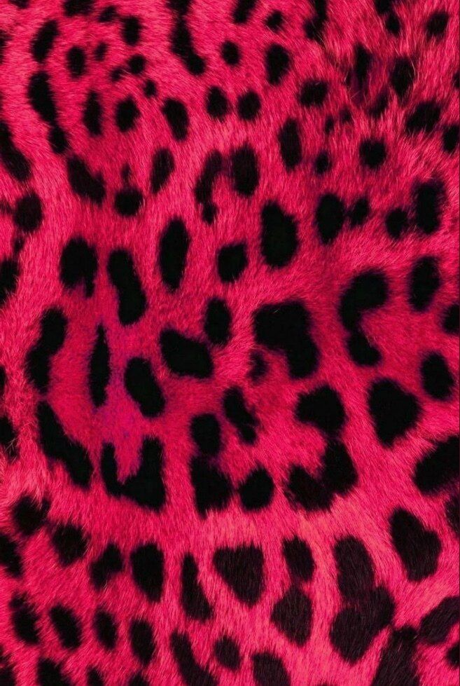 monteexo OnlyFans profile picture