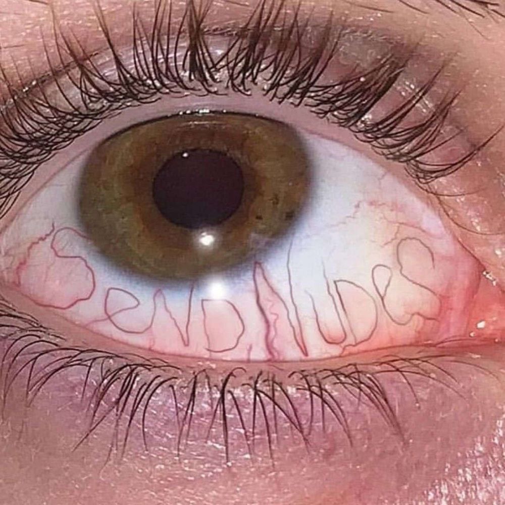 panamabandit OnlyFans profile picture