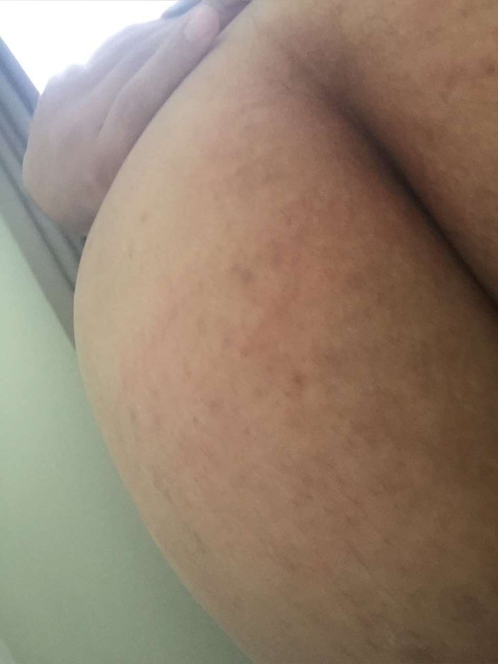 hardexmormonmaoriguy OnlyFans profile picture