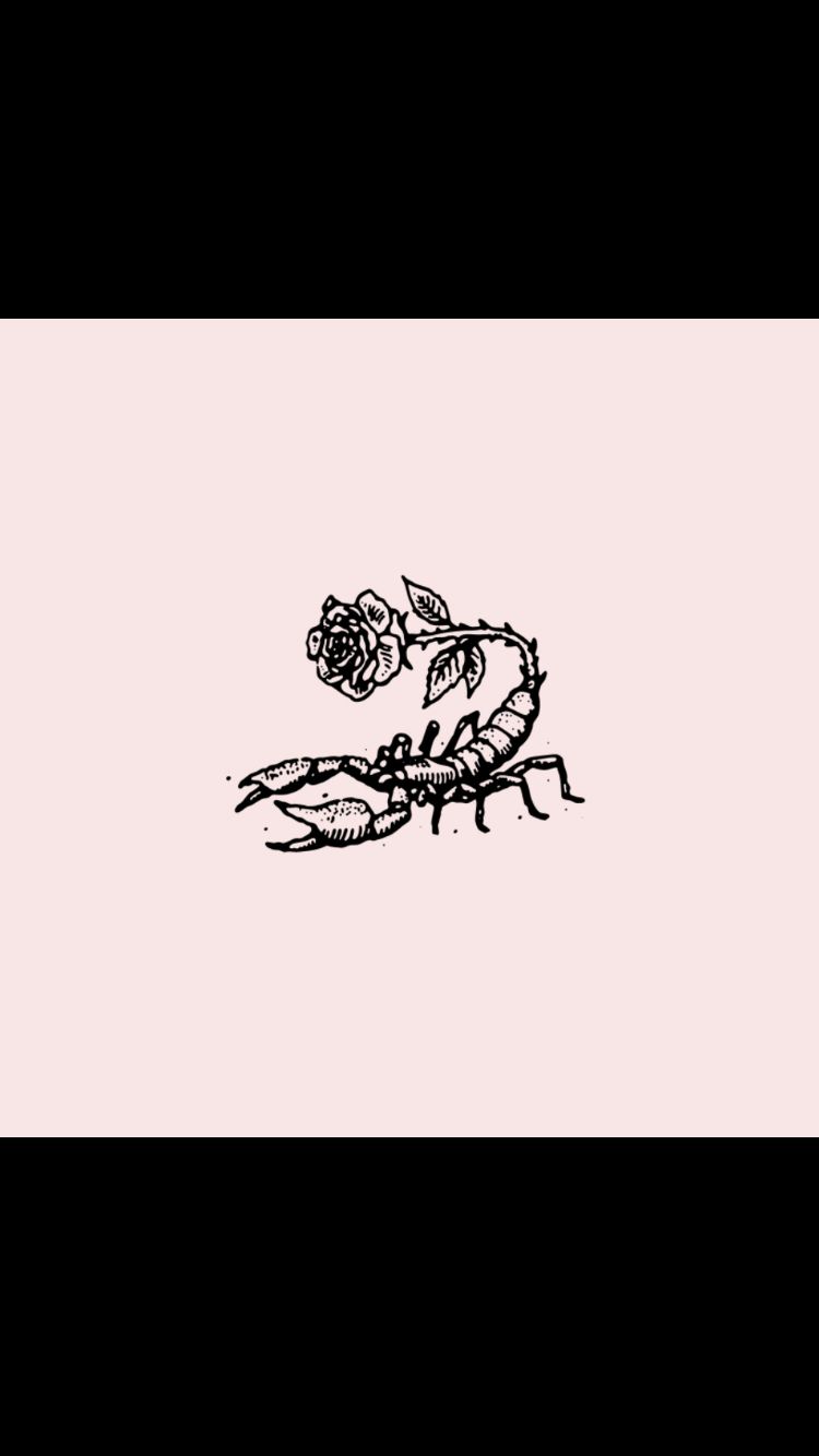 scorpiod5 OnlyFans profile picture