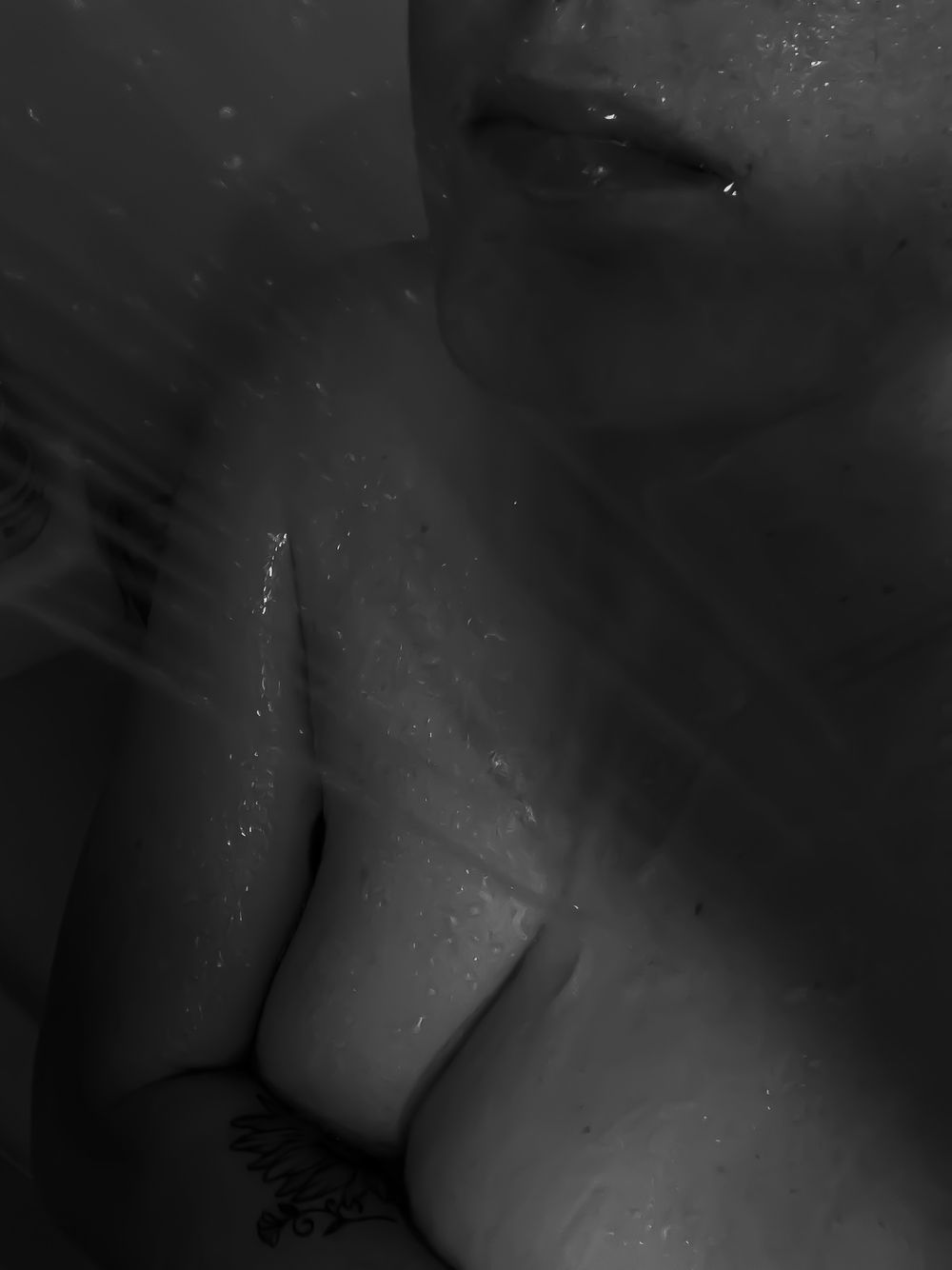 rosefranz OnlyFans profile picture