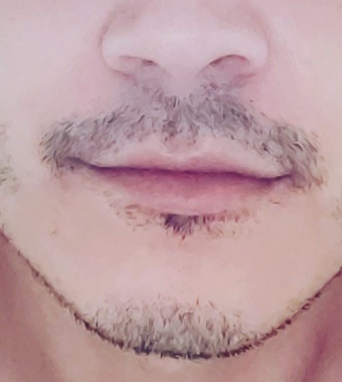 anhelboy OnlyFans profile picture