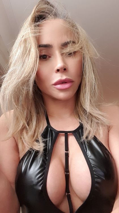 mylabracho OnlyFans picture