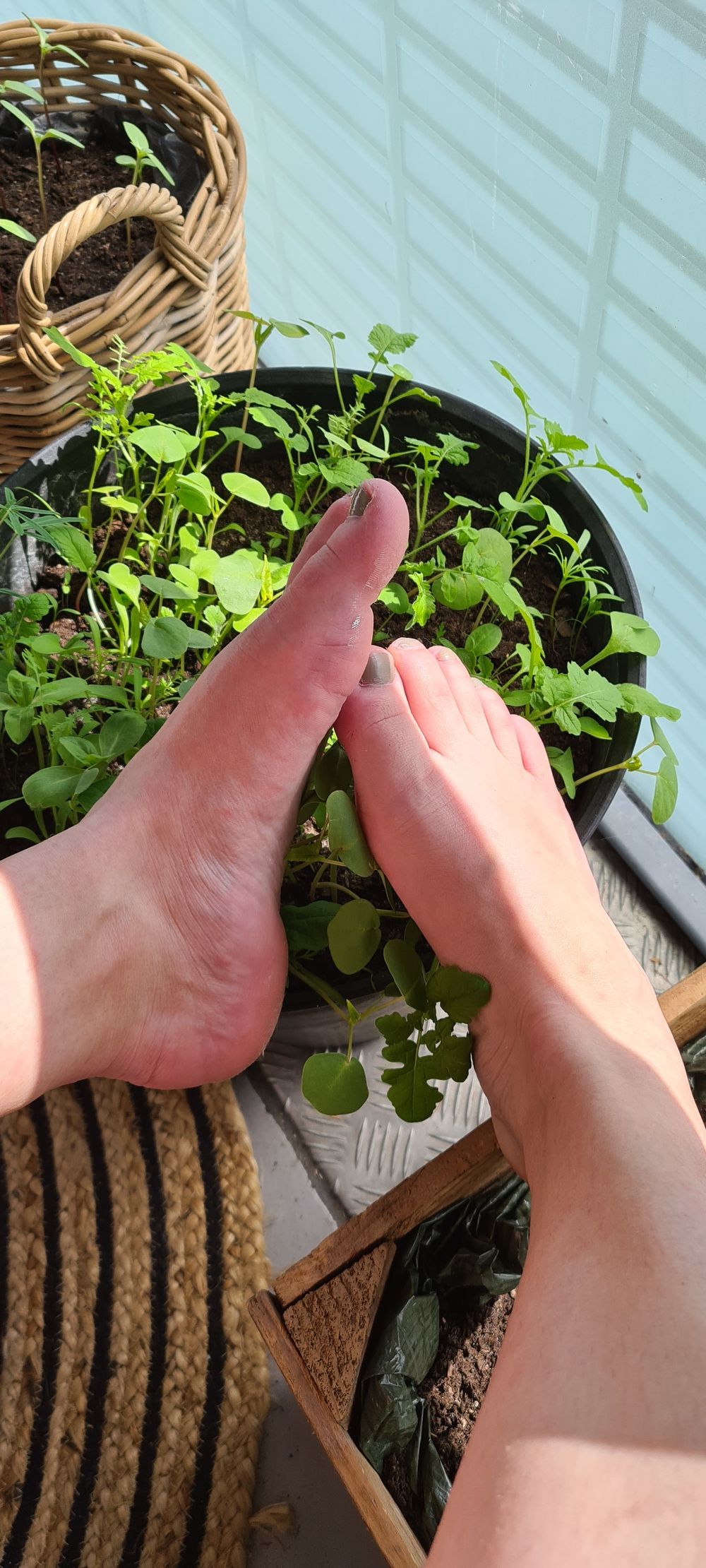 feetfetiishh OnlyFans profile picture