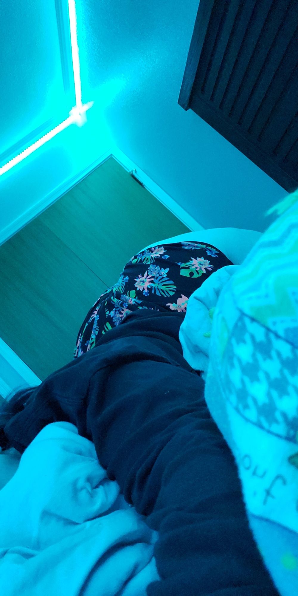 damopargirl OnlyFans profile picture
