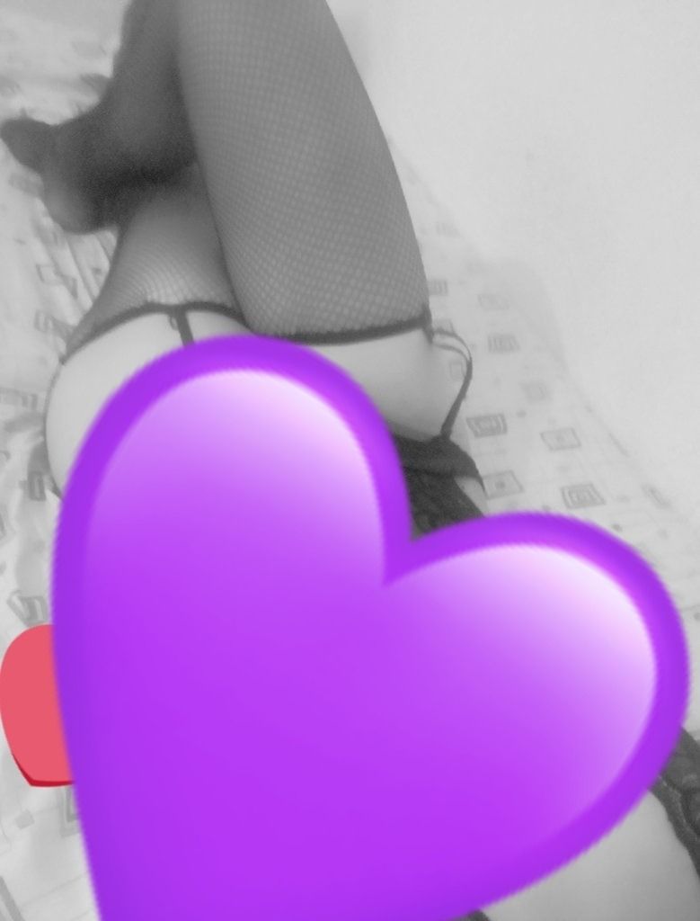 bichotaclub OnlyFans profile picture