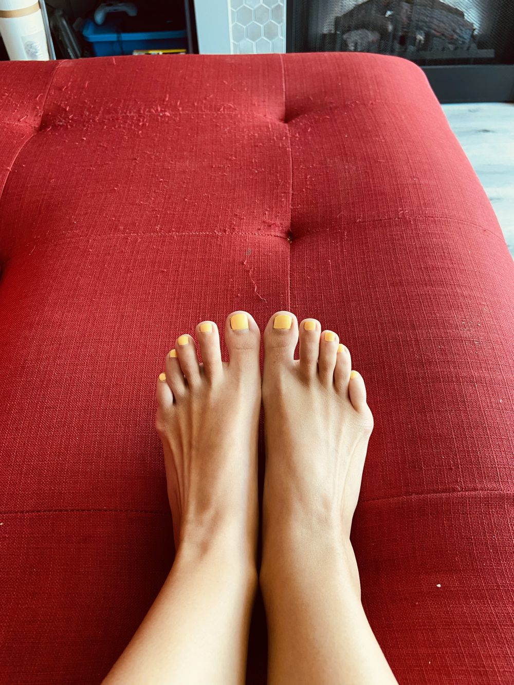 misstashasfeet OnlyFans profile picture