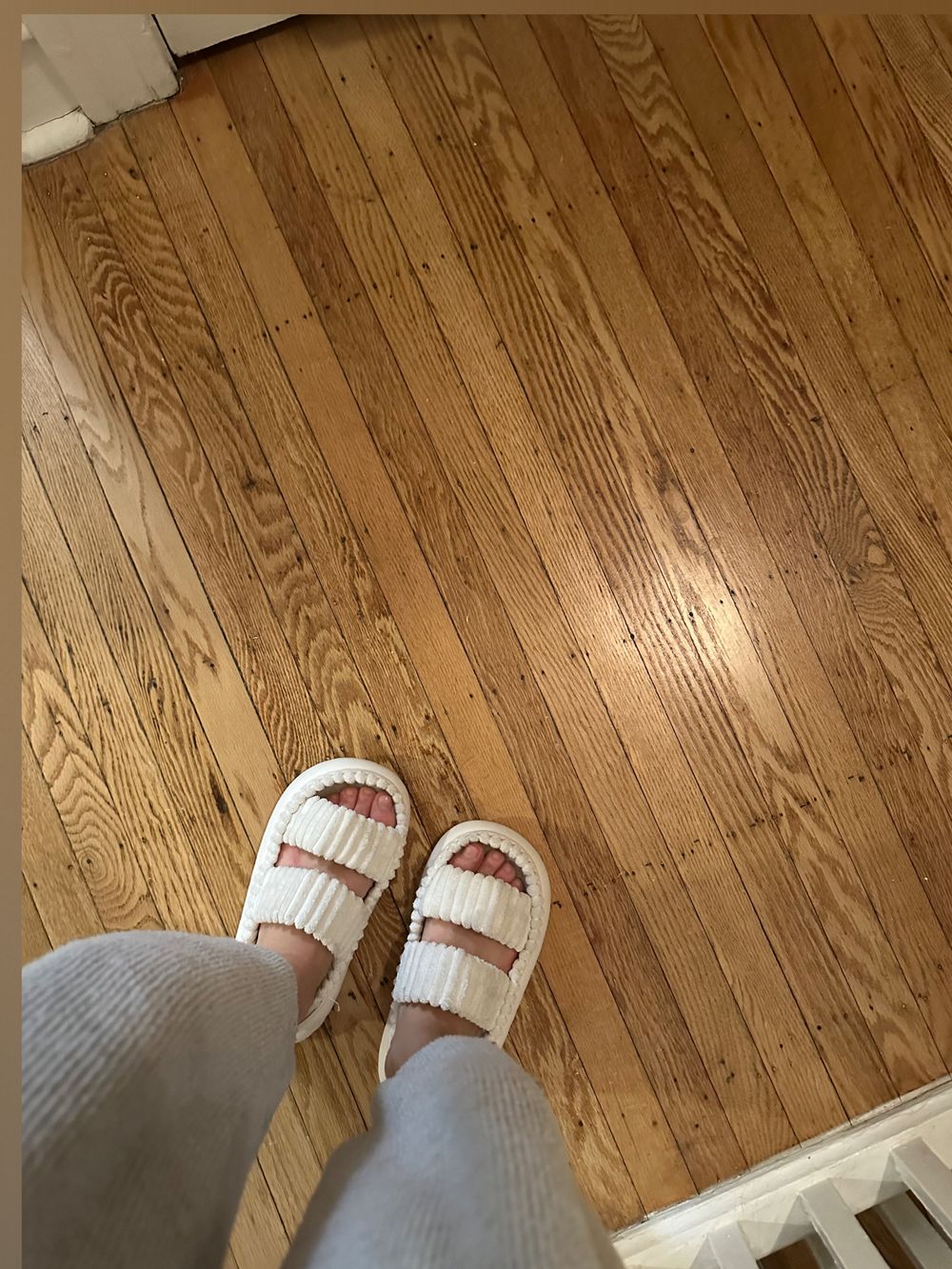 princess_piggs OnlyFans profile picture