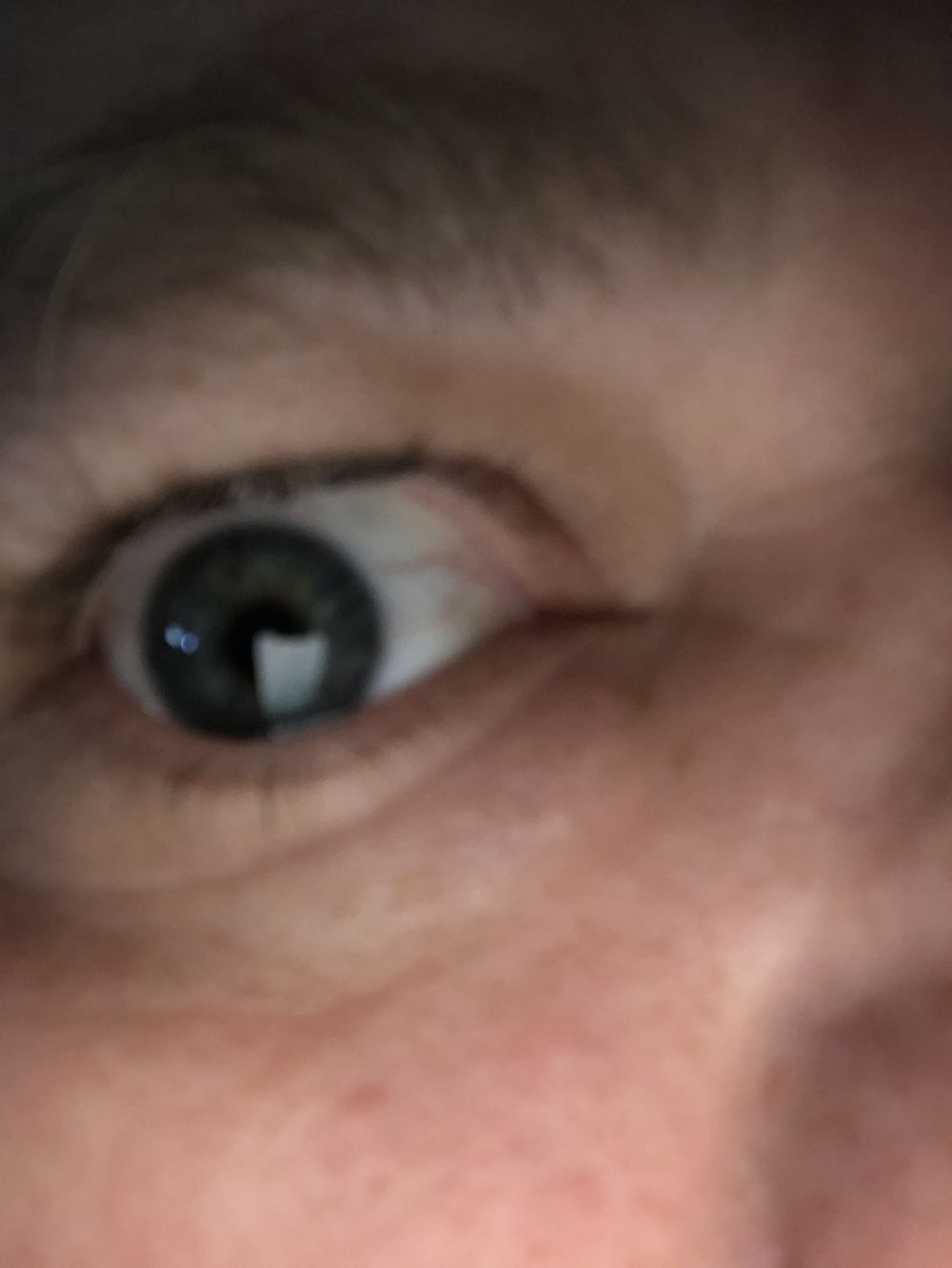 bradleyk OnlyFans profile picture