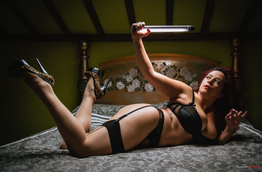 nidcyn OnlyFans profile picture