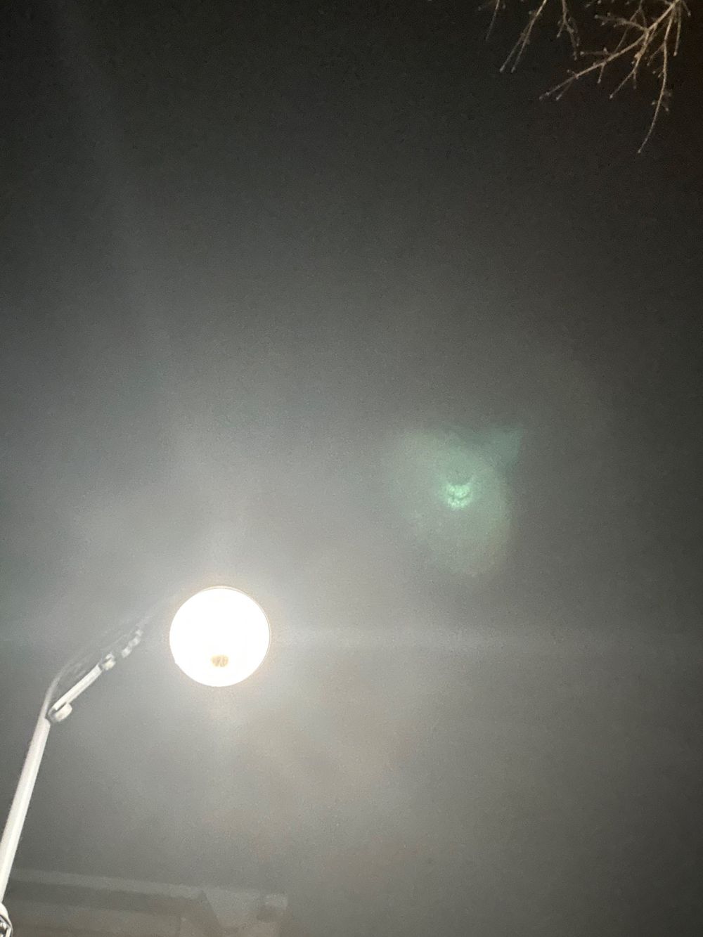 u5583804 OnlyFans profile picture