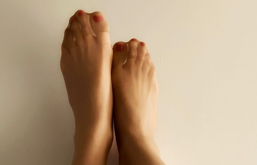 toescompany OnlyFans profile picture