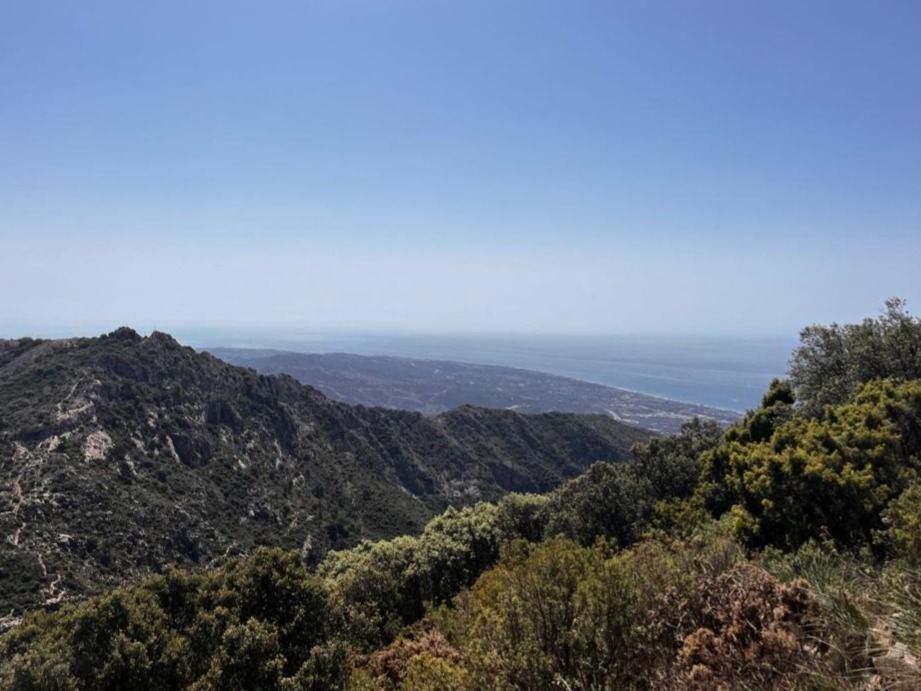 artur_mar OnlyFans - Free Trial - Photos - Socials FansMetrics