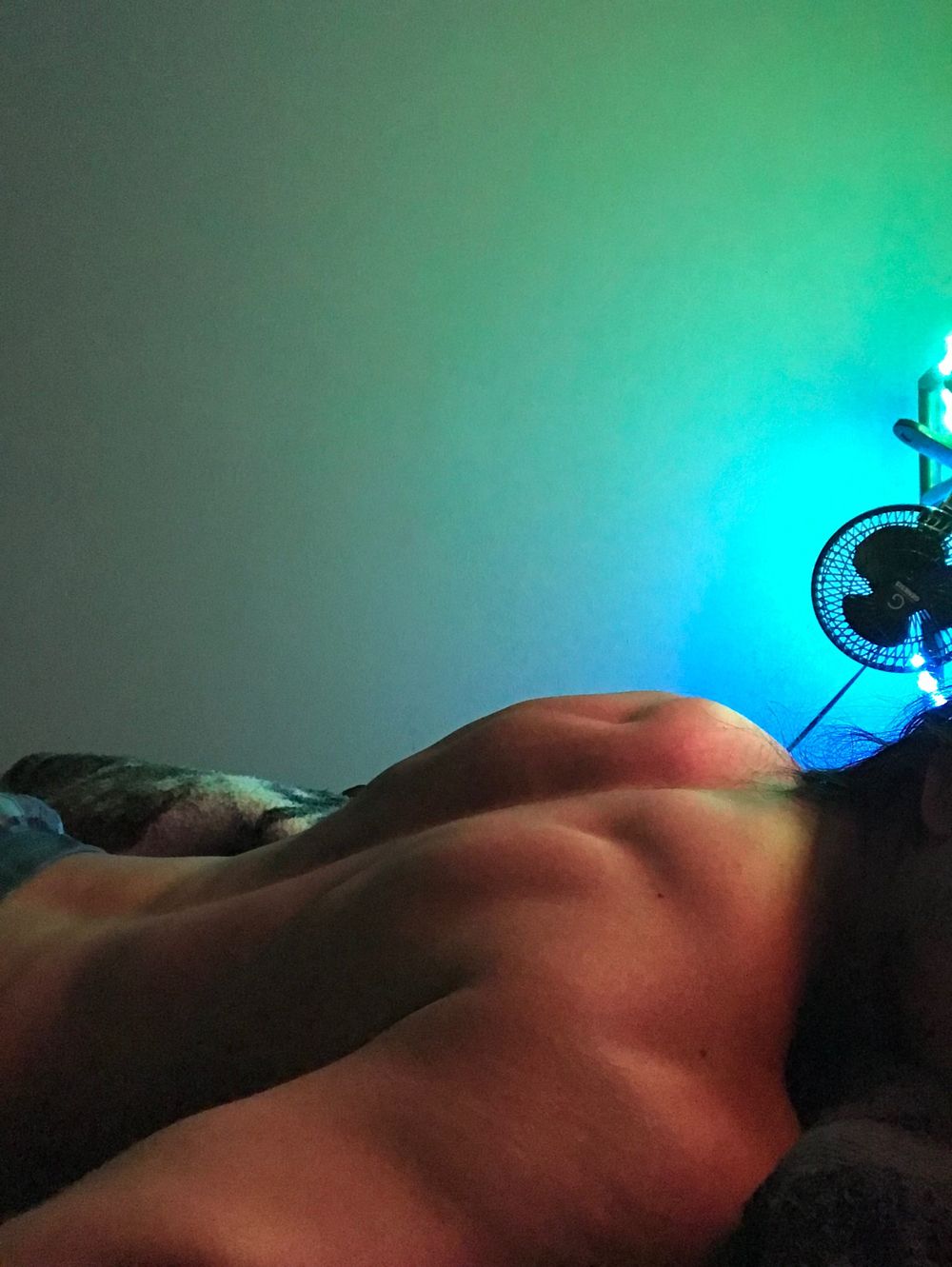 spicetrademutt OnlyFans profile picture